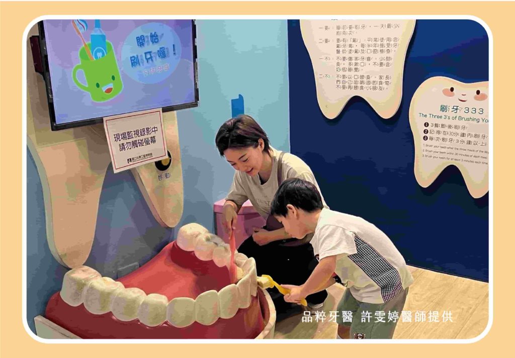 家長可依孩子年齡的發展程度適時引導孩子刷牙，建立孩子刷牙的好習慣、學習刷牙的技巧。